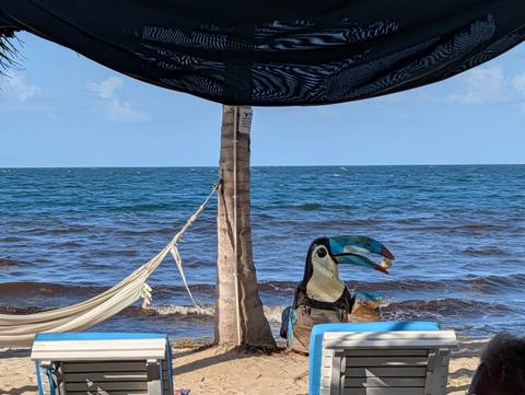 Toucan Jacks Tiki Bar — our photo