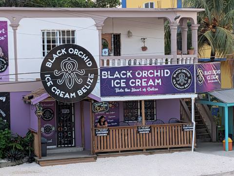 Black Orchid Ice Cream — our photo