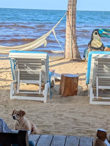 Toucan Jacks Tiki Bar — our photo