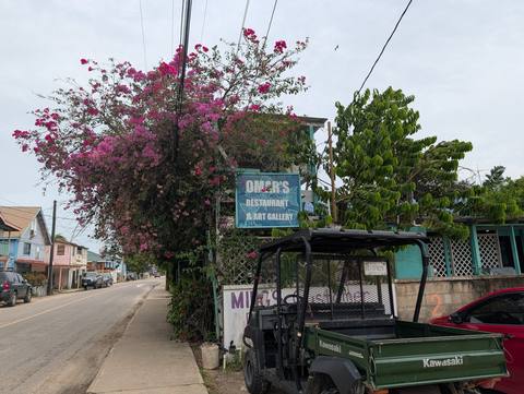 Omar's Creole Grub — our photo
